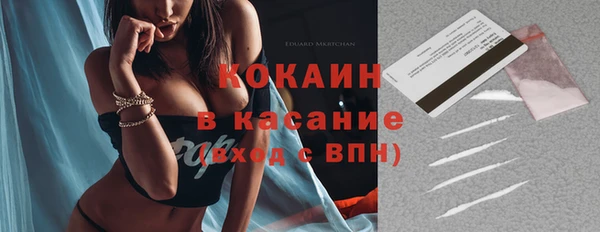 первитин Богданович
