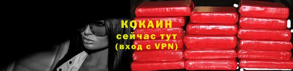 ГАЛЛЮЦИНОГЕННЫЕ ГРИБЫ Семёнов