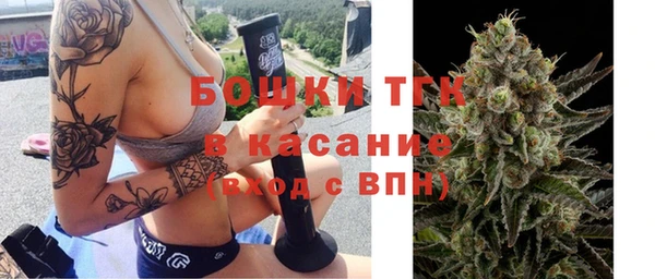 таблы Богородицк