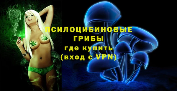 таблы Богородицк