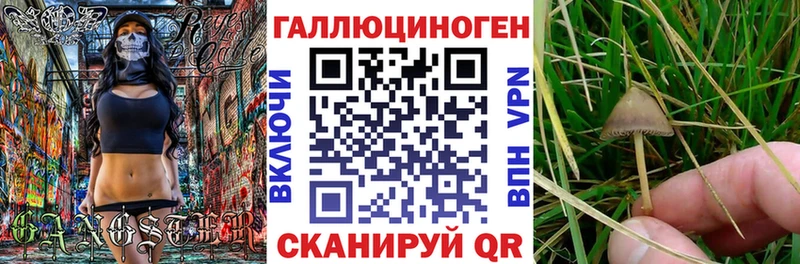 кракен вход  купить   Данилов  Псилоцибиновые грибы Psilocybe 